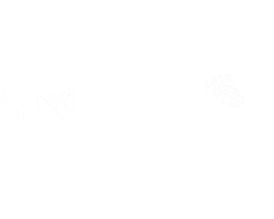 16 À 27 de julho (2)